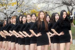 美！！韩国大学生穿紧身热裙走秀